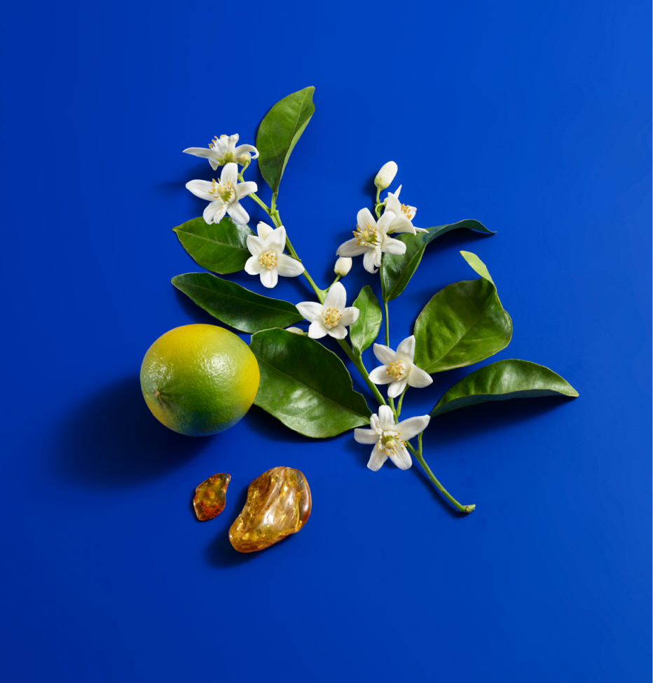Blue_Neroli